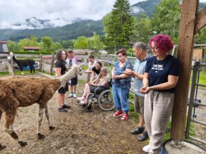 Die Alpakas freuen sich über den Besuch der Bewohner:innen der BWG Jennersdorf und bekommen Leckerlies aus der Hand gefüttert.